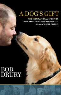Bob Drury — A Dog's Gift