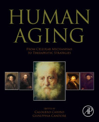 Calogero Caruso, Giuseppina Candore — Human Aging: From Cellular Mechanisms to Therapeutic Strategies