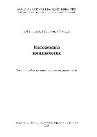 Головлева Е.Л., Грибок Н.Н., Мухаев Р.Т. — Молодежная имиджелогия. Учебное пособие и учебно-методические рекомендации