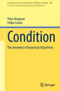 Peter Bürgisser, Felipe Cucker — Condition: The Geometry of Numerical Algorithms