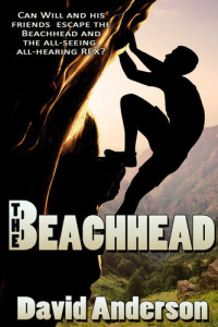 David Anderson — The Beachhead
