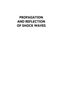 Shugaev F.V., Shtemenko L.S. — Propagation and Reflection of Shock Waves
