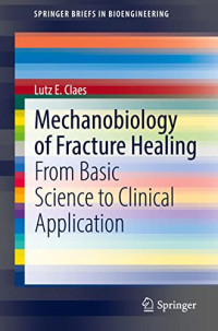 Lutz E. Claes — Mechanobiology of Fracture Healing