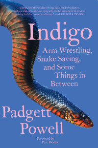 Padgett Powell — Indigo: Arm Wrestling, Snake Saving, and Some Things In Between