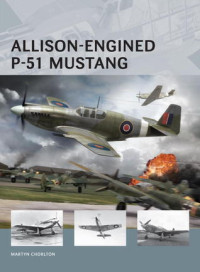 Martyn Chorlton — Allison-Engined P-51 Mustang