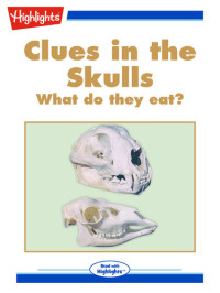 Evelyn Edwards — Clues in the Skulls
