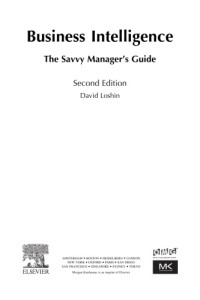 Абашева Л. П. — Business Intelligence : The Savvy Manager’s Guide
