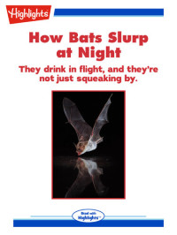 Alison Pearce Stevens — How Bats Slurp at Night