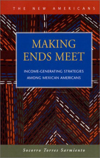 Socorro Torres Sarmiento — Making Ends Meet: Income-Generating Strategies Among Mexican Immigrants (New Americans (LFB Scholarly Publishing LLC).) (New Americans (Lfb Scholarly Publishing Llc).)