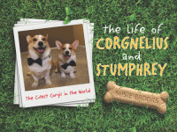 Susie Brooks — The Life of Corgnelius and Stumphrey: The Cutest Corgis in the World