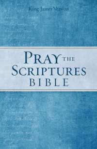 Kevin Johnson — KJV Pray the Scriptures Bible