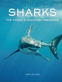Jenni Zellner — Sharks: The Ocean's Mightiest Predator