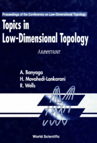 A. Banyaga, H. Movahedi-Kankarani, R. Wells — Topics in Low-Dimensional Topology