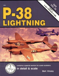  — P-38 Lightning part2