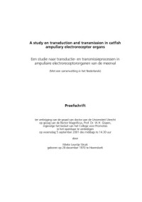  — a study on transduction an transmission in catfish ampullary electroreceptor organs