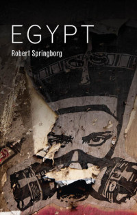 Robert Springborg — Egypt