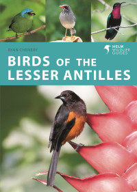 Ryan Chenery — Birds of the Lesser Antilles