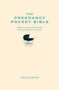 Hollie Smith — The Pregnancy Pocket Bible: Everything an expectant mother needs to know