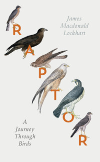 James Macdonald Lockhart — Raptor: A Journey Through Birds