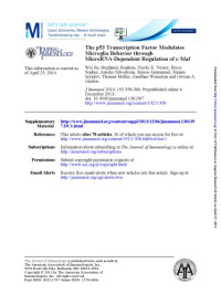  — [Article] The p53 transcription factor modulates microglia behavior through microRNA-dependent regulation of c-Maf