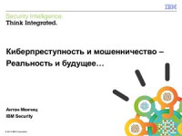 Менчиц Антон. — Киберпреступность и мошенничество - Реальность и будущее…