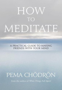 Chödrön, Pema — How to Meditate: A Practical Guide to Making Friends with Your Mind