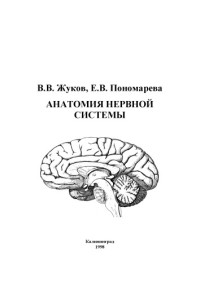 Жуков, Валерий Валентинович;Пономарева, Евгения Владимировна;авт. — Анатомия нервной системы Учеб. пособие