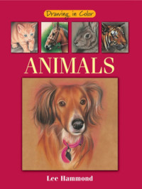 Hammond, Lee — Animals: Drawing in Color