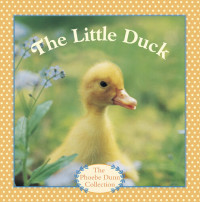 Judy Dunn — The Little Duck