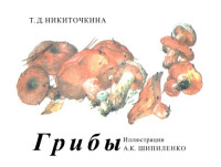 Никиточкина Т.Д. — Грибы