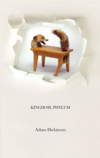 Dickinson, Adam — Kingdom, Phylum