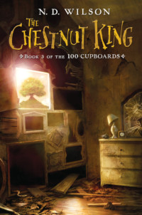 Wilson, N. D — The Chestnut King Book 3 of the 100 Cupboards
