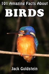 Jack Goldstein — 101 Amazing Facts About Birds