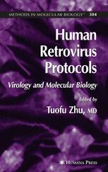 Janet D. Siliciano, Robert F. Siliciano (auth.), Tuofu Zhu MD (eds.) — Human Retrovirus Protocols: Virology and Molecular Biology