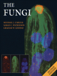 Michael J Carlile, Dr, Sarah C Watkinson and Graham W Gooday (Auth.) — The Fungi