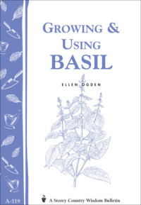 Ellen Ogden — Growing & Using Basil