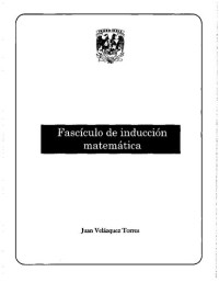 Juan Velázquez Torres — Fascículo de inducción matemática