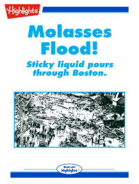 Carla Joinson — Molasses Flood!
