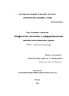 Рогов К.А.  — Морфология, гистогенез и дифференциальная диагностика миксомы сердца