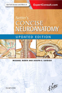 Michael A. Rubin MD, Joseph E. Safdieh MD — Netter's Concise Neuroanatomy Updated Edition (Netter Clinical Science)