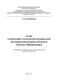 Баженова О. П. — Атлас стоматоцист золотистых водорослей из планктона водных объектов Омского Прииртышья: монография