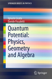 Ignazio Licata, Davide Fiscaletti — Quantum Potential: Physics, Geometry and Algebra