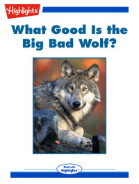 Linda Zajac — What Good Is the Big Bad Wolf?