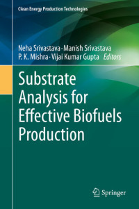 Neha Srivastava, Manish Srivastava, P. K. Mishra, Vijai Kumar Gupta — Substrate Analysis for Effective Biofuels Production