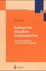 Tore M. Løseth — Submarine massflow sedimentation: computer modelling and basin-fill stratigraphy