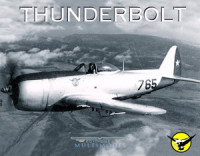 Collective — P-47D Thunderbolt