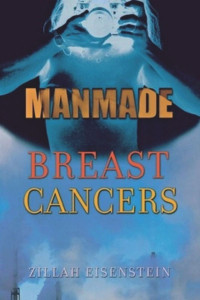 Zillah Eisenstein — Manmade Breast Cancers