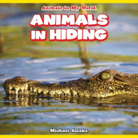 Michael Salaka — Animals in Hiding