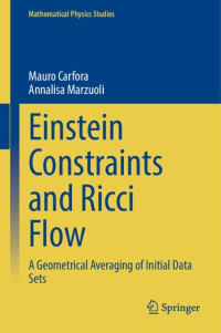 Mauro Carfora, Annalisa Marzuoli — Einstein Constraints and Ricci Flow: A Geometrical Averaging of Initial Data Sets