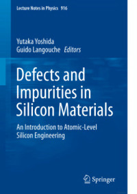 Yoshida Y., Langouche G. (Ed.) — Defects and Impurities in Silicon Materials: An Introduction to Atomic-Level Silicon Engineering